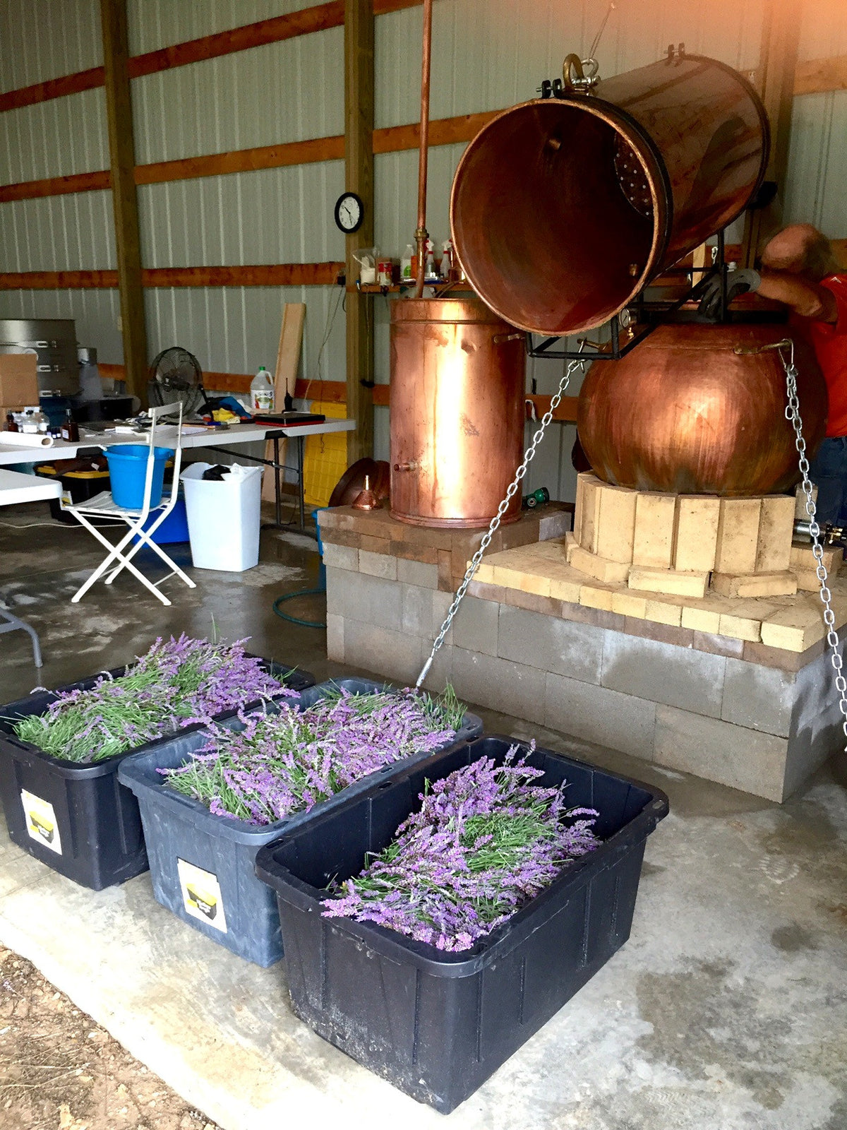 Lavender Hydrosol