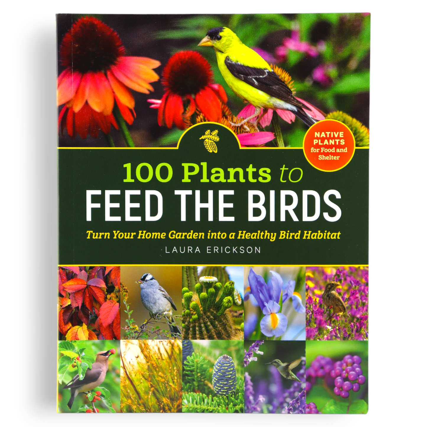 100 Plants to Feed the Birds