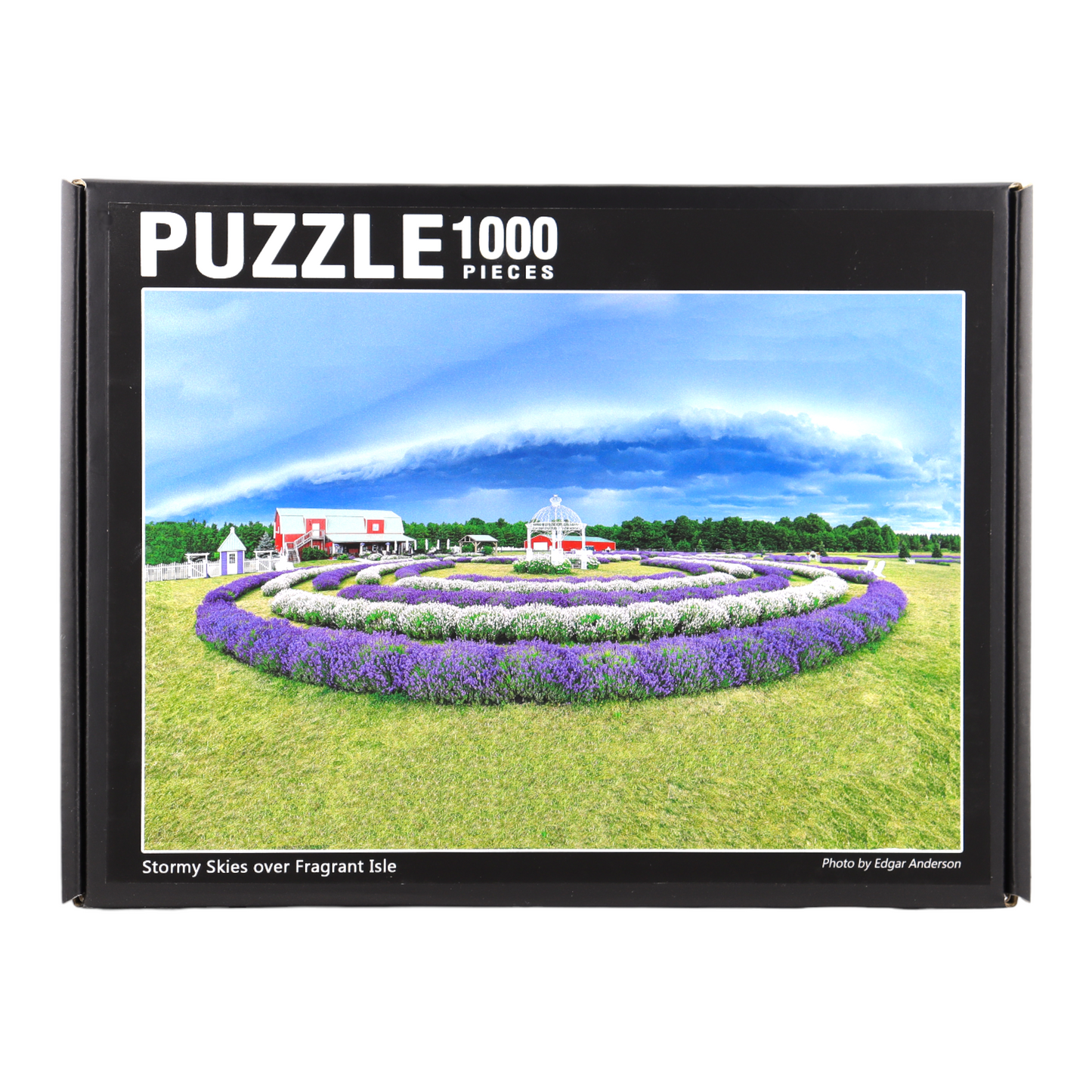 Lavender Field Jigsaw Puzzle