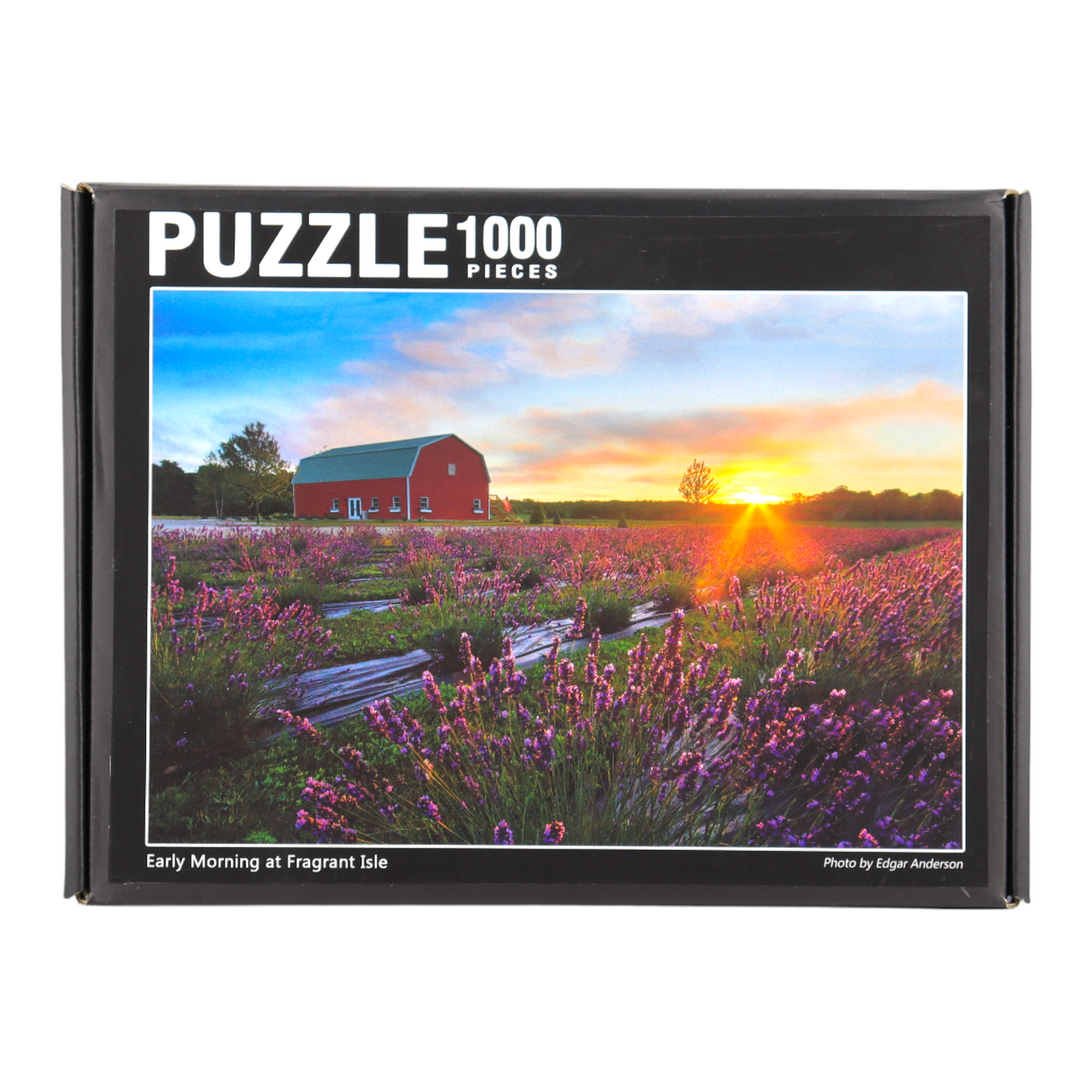 Lavender Field Jigsaw Puzzle