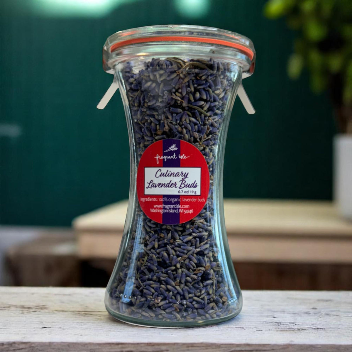 Lavender Culinary Buds - XL