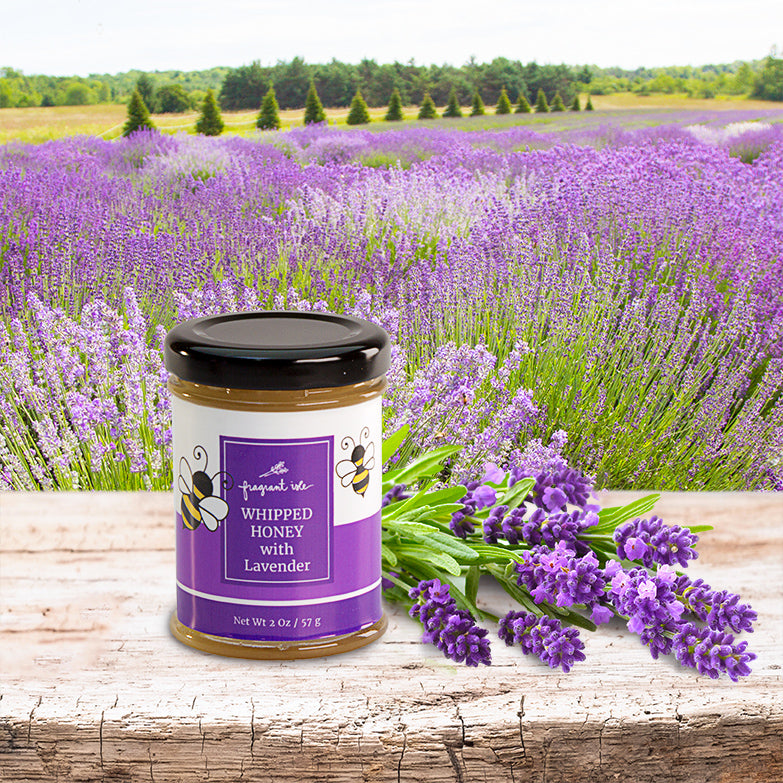 The Hoosier Gardener: Gardeners love lavender for scent, flavor